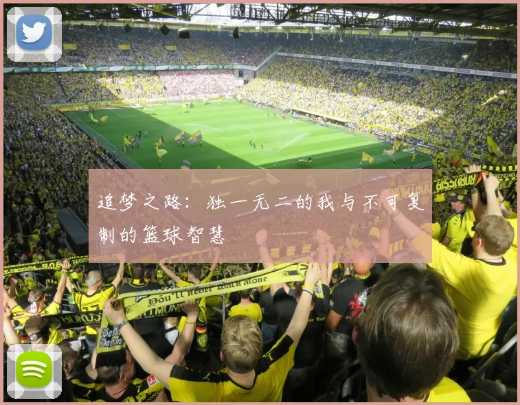 追梦之路：独一无二的我与不可复制的篮球智慧